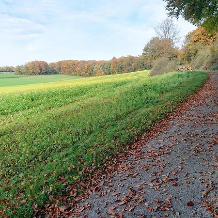 Haus Im Grunen Villa Billerbeck Kültér fotó