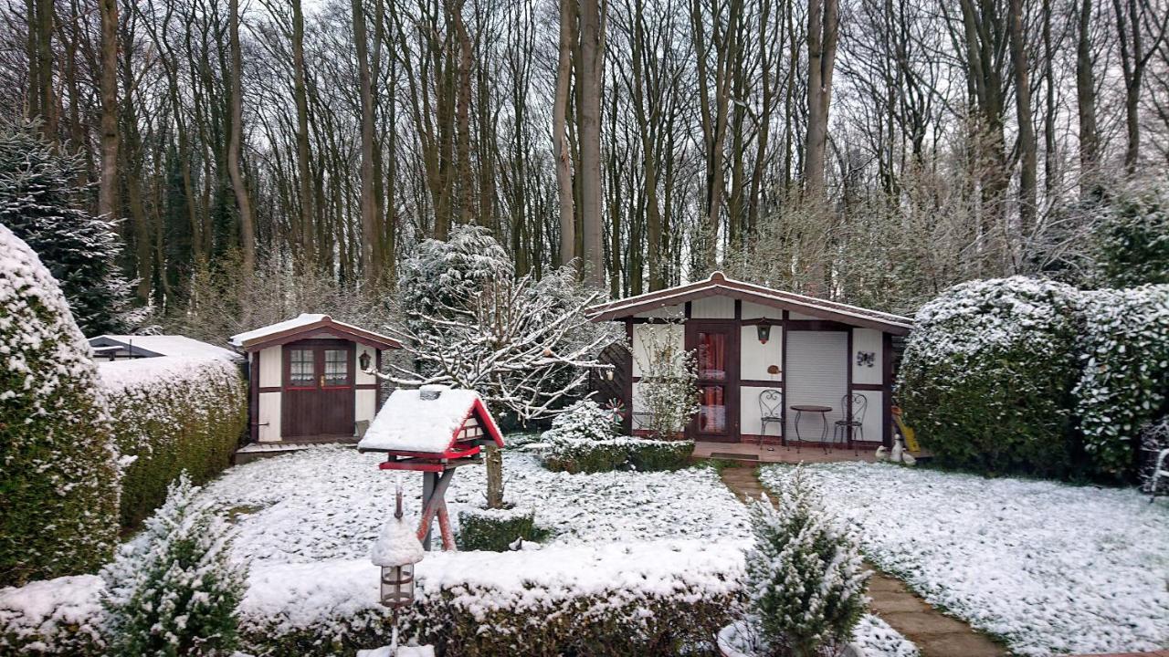 Haus Im Grunen Villa Billerbeck Kültér fotó